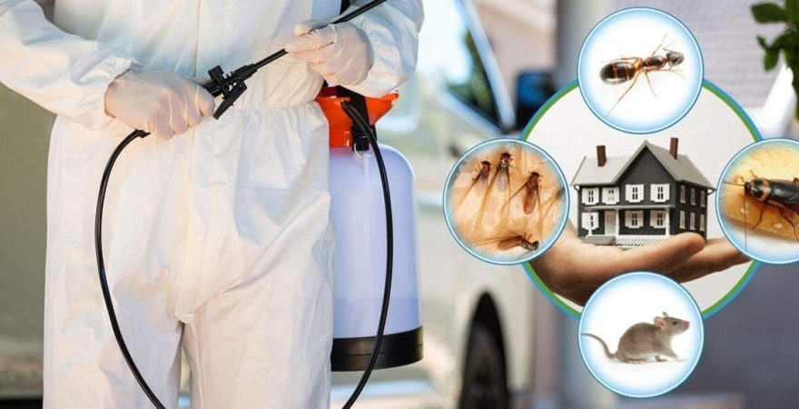 Ardeşen Böcek İlaçlama