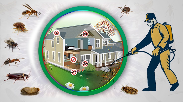 Ardeşen Böcek İlaçlama