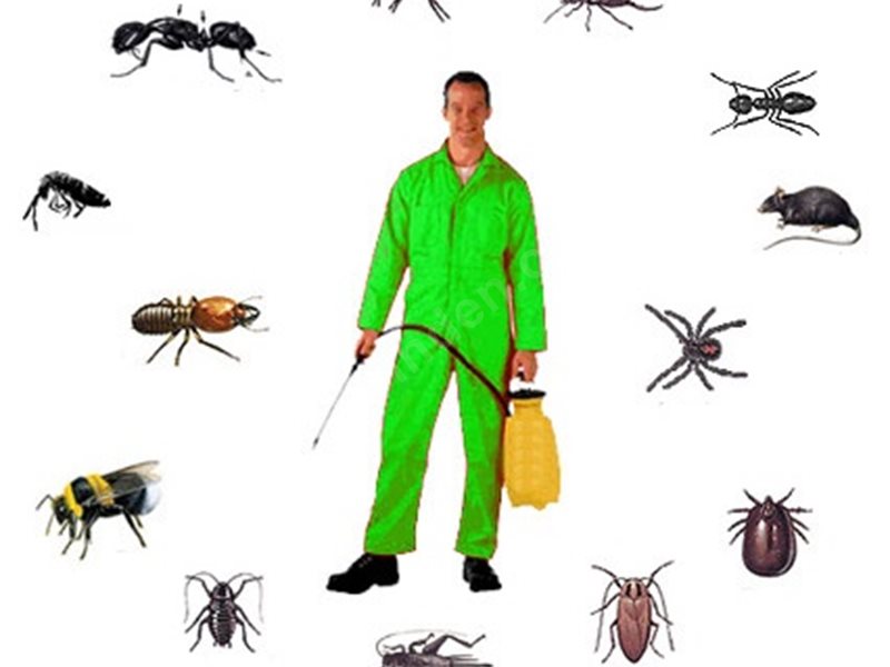 Ardeşen Böcek İlaçlama