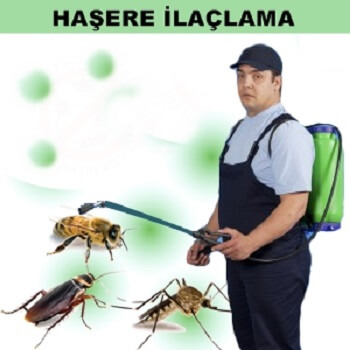 Ardeşen Böcek İlaçlama